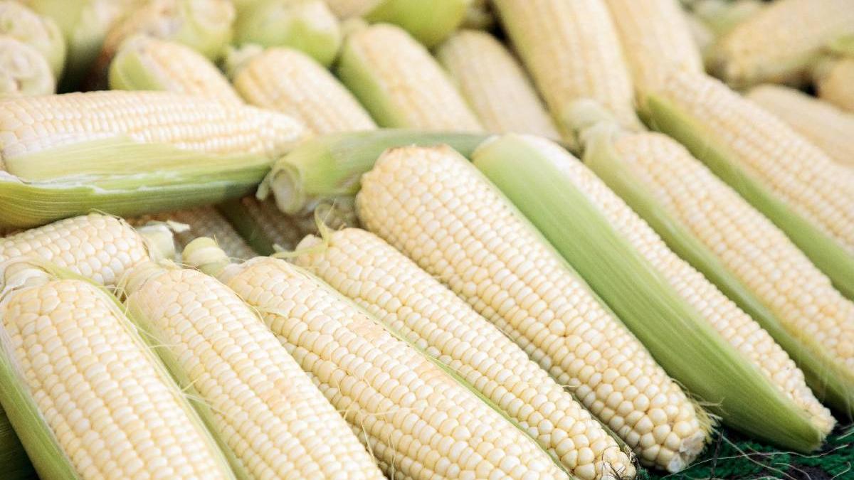 pret porumb fiert piata obor bucuresti