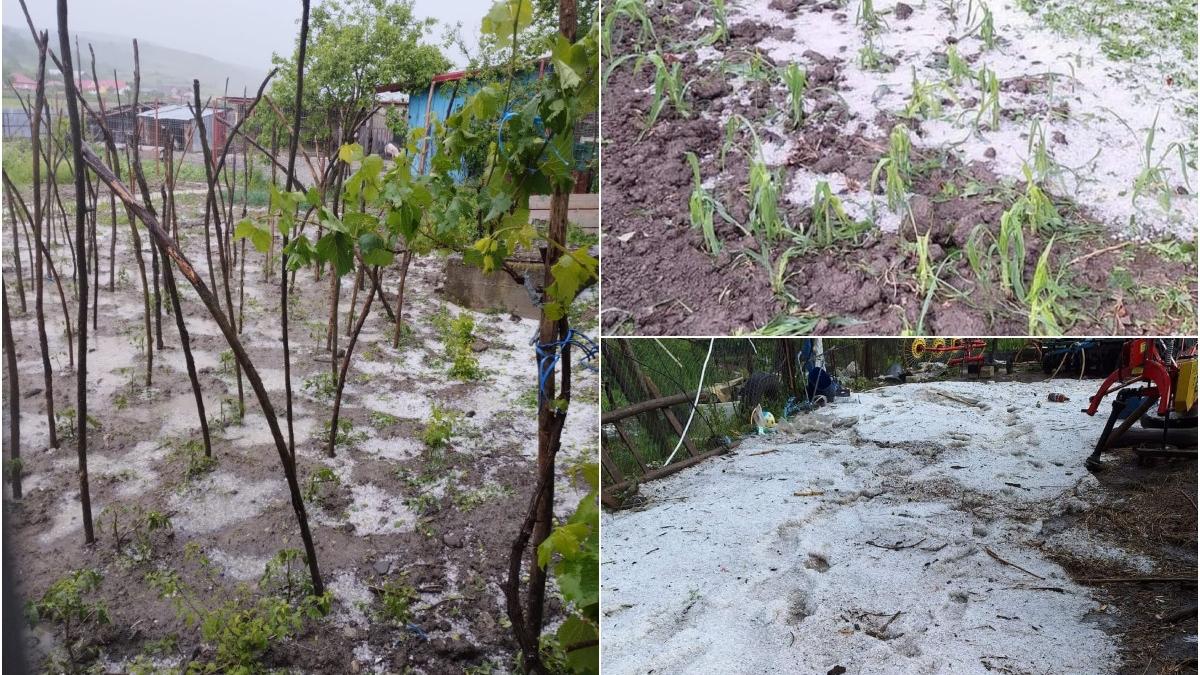 vremea rea ravagii judete tara grindina distrus gospodarii culturi