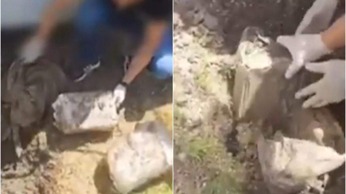 captura droguri un milion euro giurgiu substante interzise vandute bucuresti ilfov