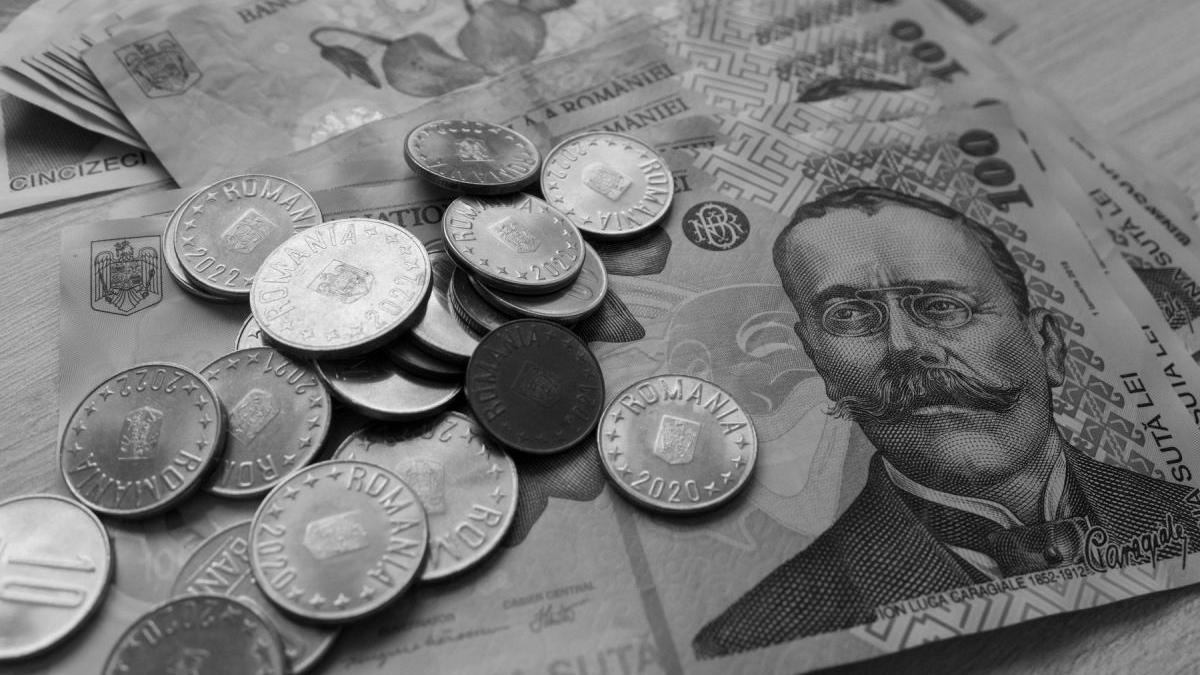 curs valutar bnr 31 mai 2024