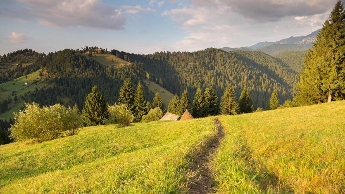 prognoza meteo 1 iunie 1 iulie 2024 romania vremea vara