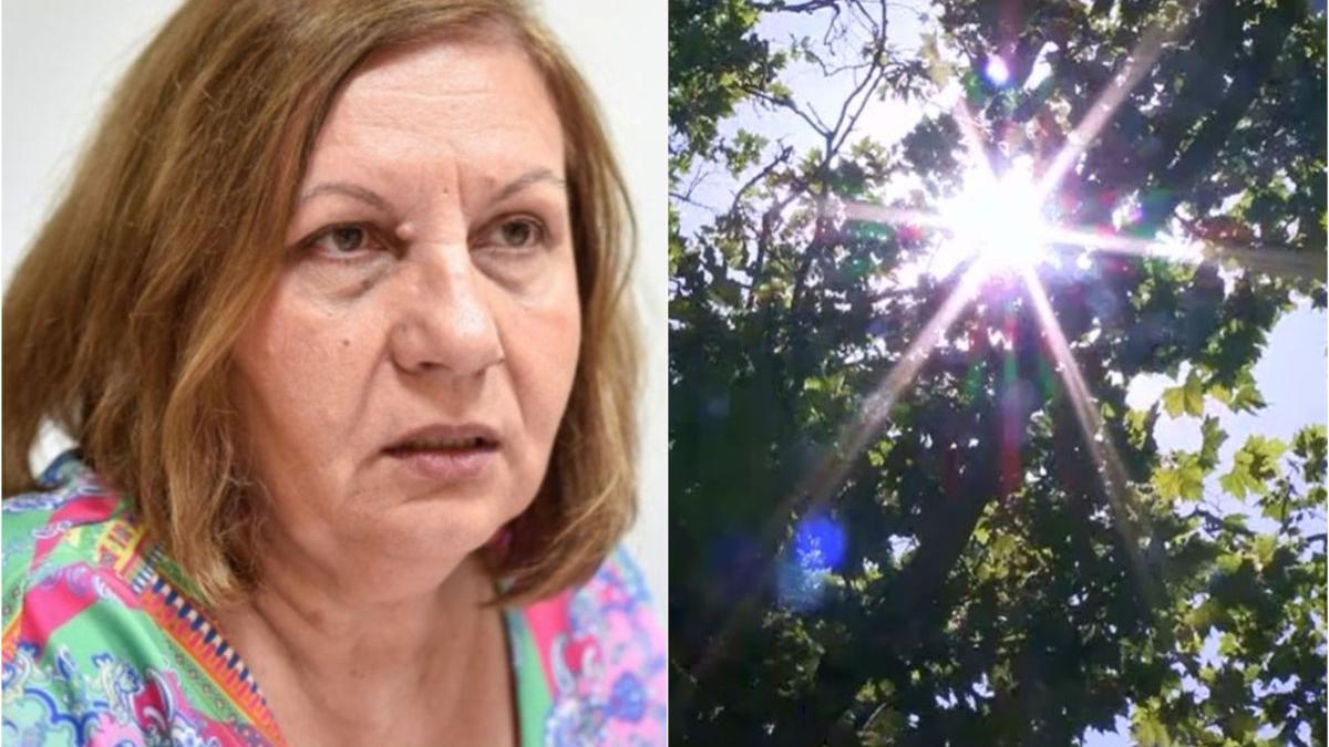 anunt anm temperaturi 40 grade elena mateescu