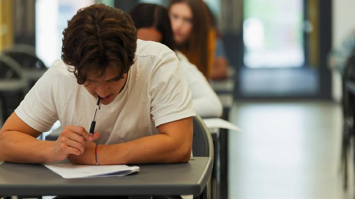 inscriere bacalaureat 2024 3 iunie model cerere