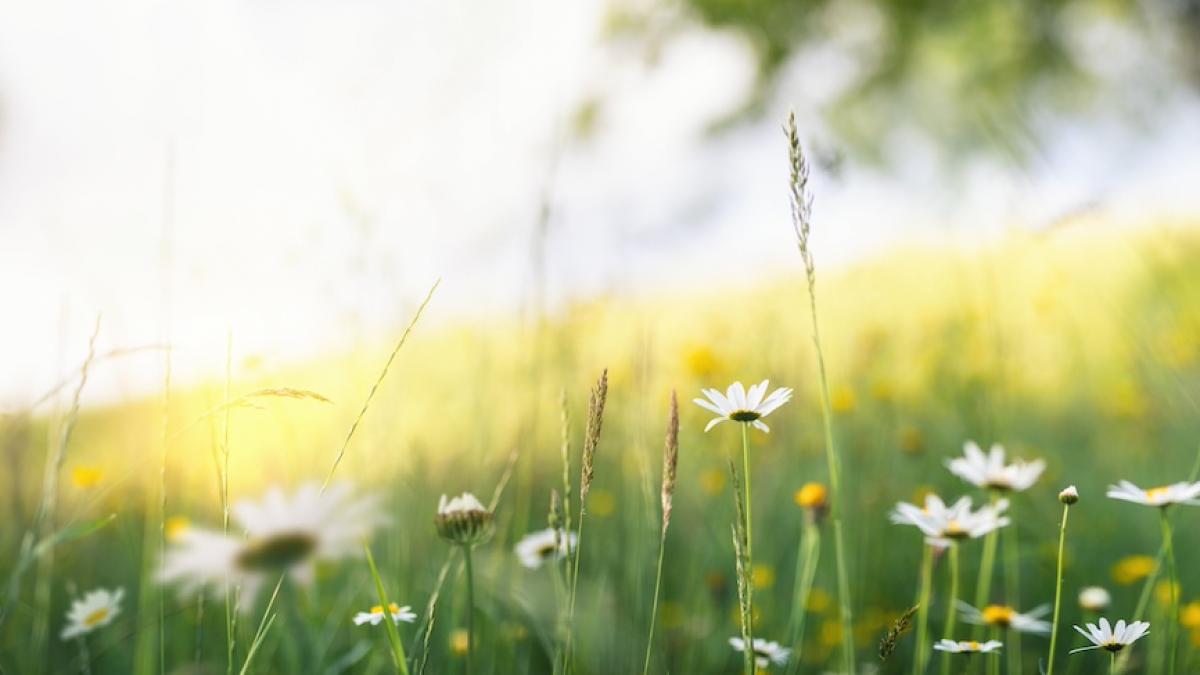 prognoza meteo anm 3 17 iunie 2024 vreme schimbatoare