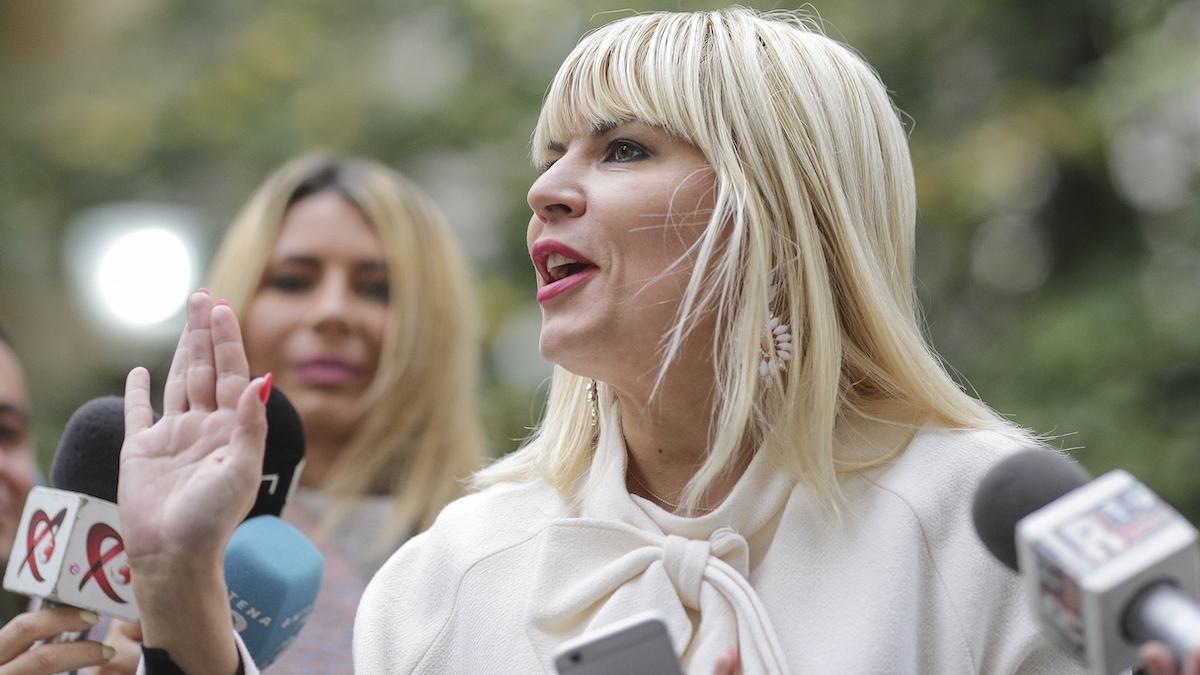 elena udrea scapa de condamnare dosar hidroelectrica
