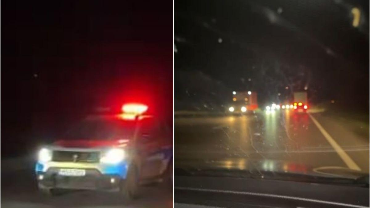 panica pe dn1 la nistoresti dupa ce un urs a iesit din padure si a ajuns pe sosea animalul a fost