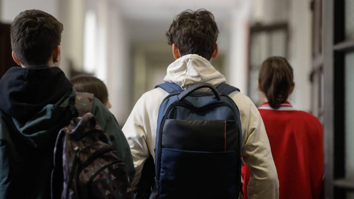 bacalaureat 2024 ligia deca inscrieri examen