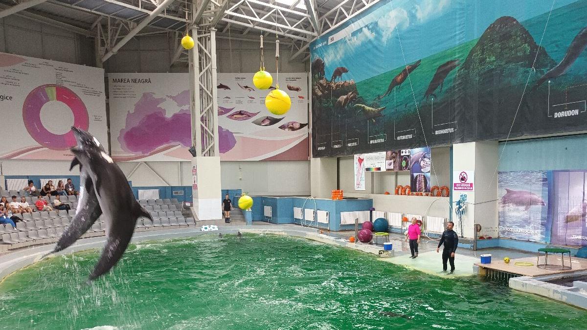 ce poti face intr o zi la constanta daca nu mergi la plaja