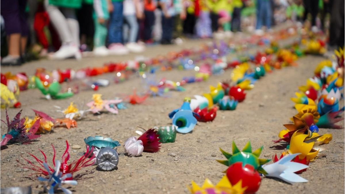 sirag flori copii gradinita pet uri satu mare cartea recordurilor