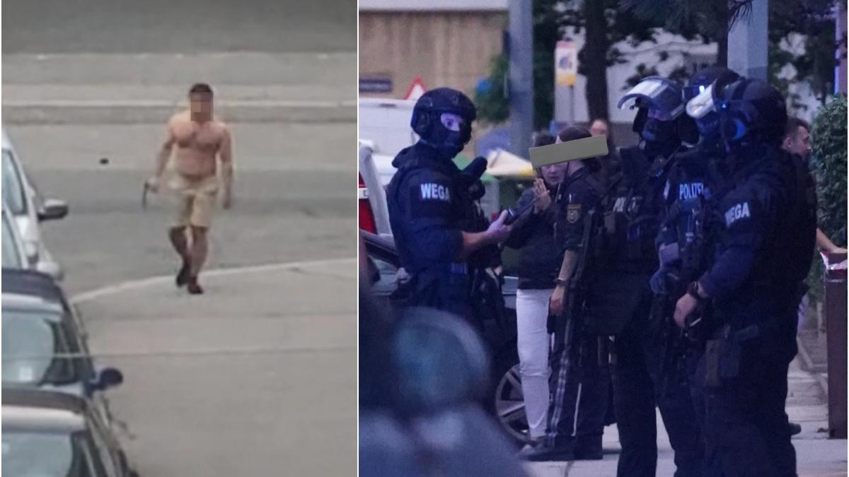 roman impuscat si ucis de politisti viena dupa ce i a atacat cu toporul