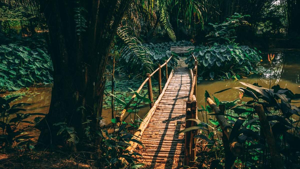 marturia omului care trimite mercenari in congo cum a murit romanul