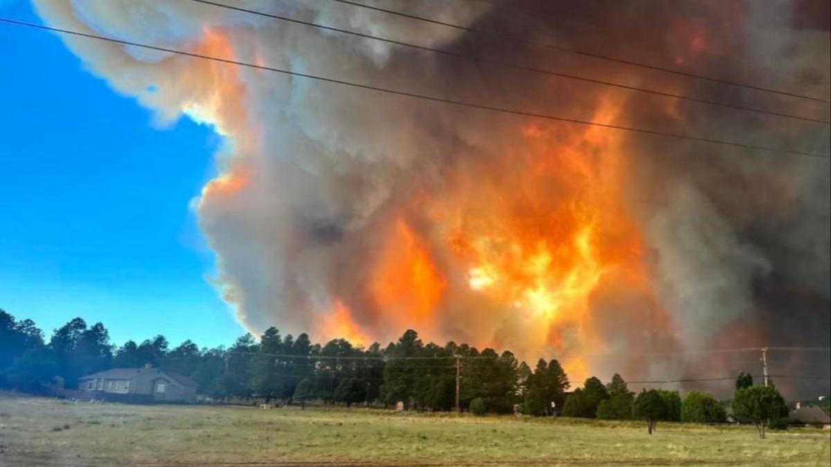 incendii new mexico stare urgenta cladiri