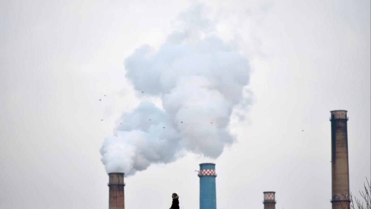 oameni decese poluare aer studiu