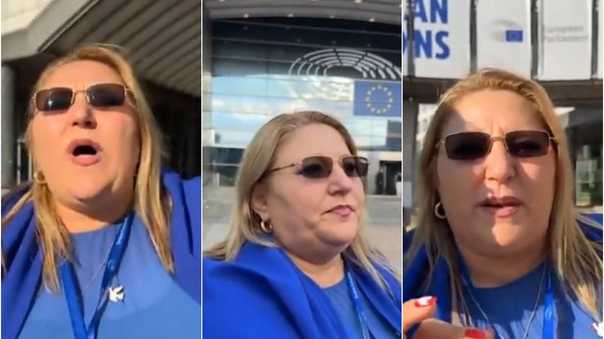 diana sosoaca luis lazarus parlamentul european am sa aduc aici toate mizeriile parlamentul romaniei