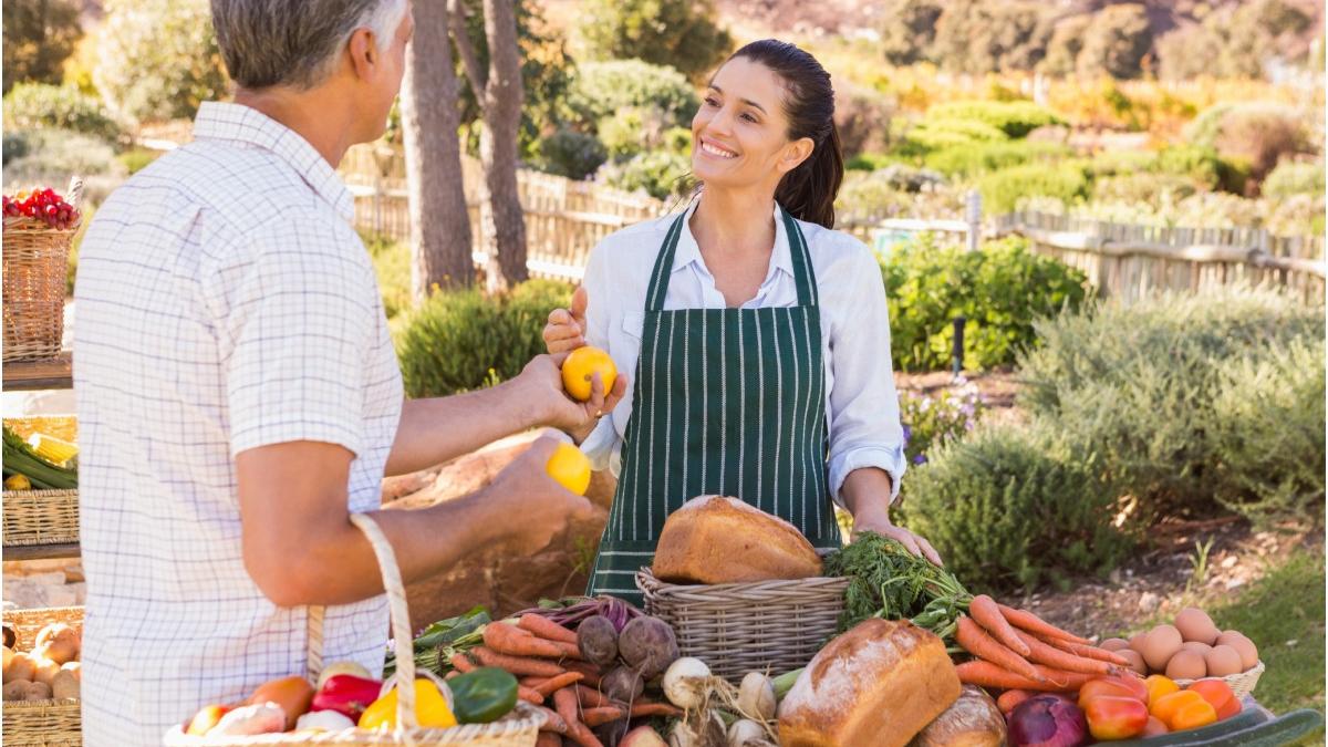 guvern ajutor producatori locali