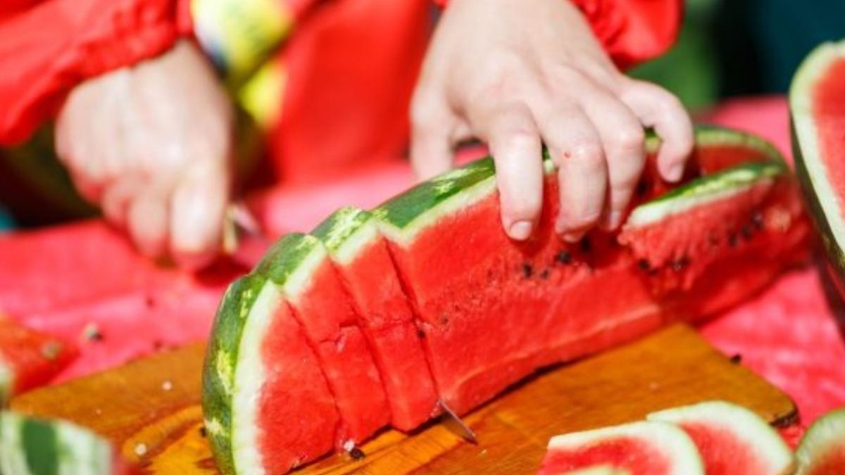 canicula productie pepenii romanesti cat costa desertul verii angor piete