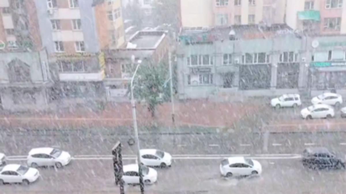 tara nins vara fenomen mongolia