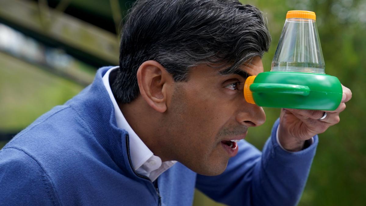 ancheta marea britanie pariuri