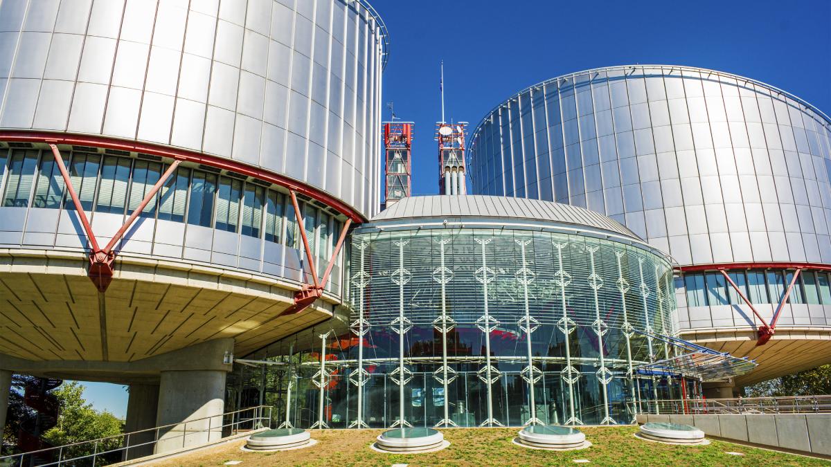 cedo declara vinovata rusia incalcare drepturile omului crimeea