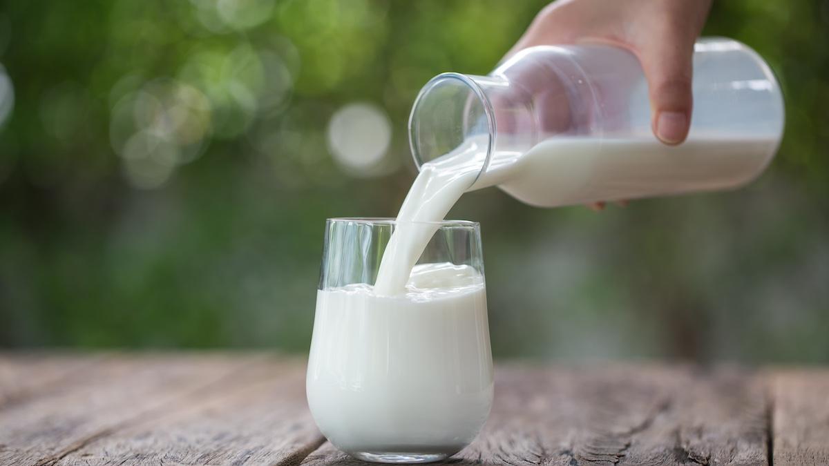 laptele pe care nu ar trebui sa il consumam niciodata nu are ce cauta in alimentatia noastra