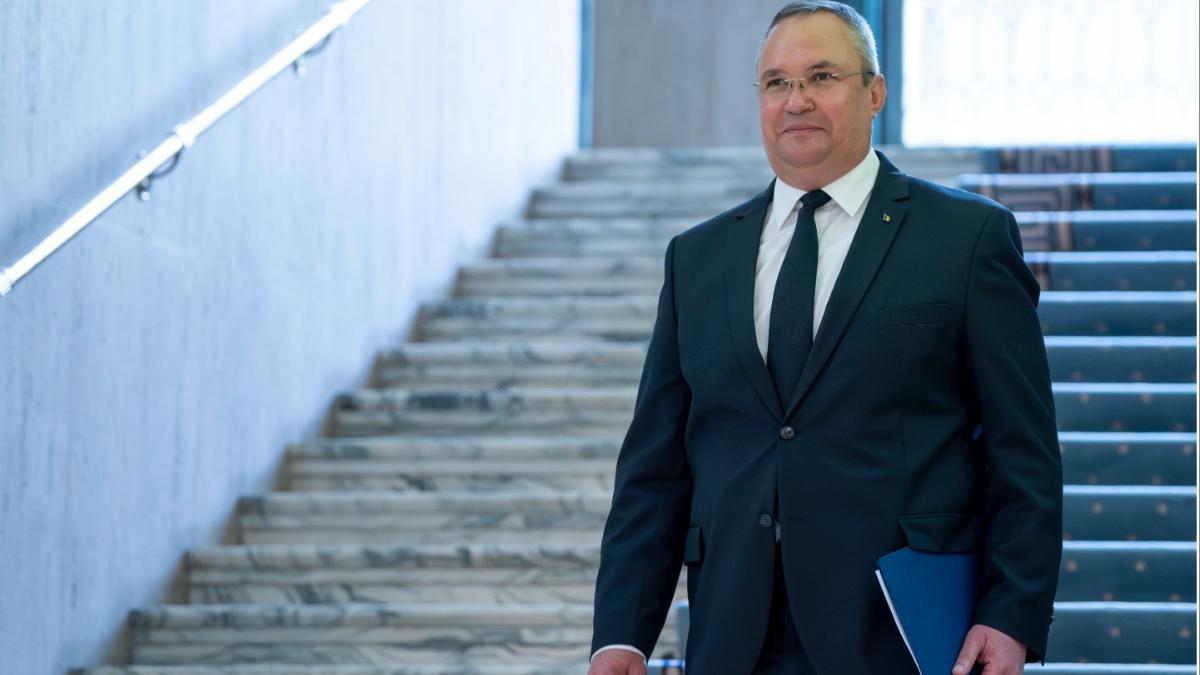 nicolae ciuca extremism manifestari