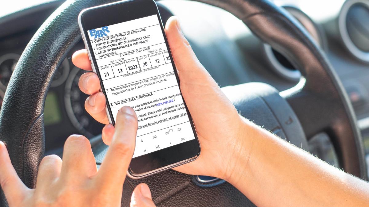 plafonarea preturilor polite rca prelungita guvern 28 iunie 2024