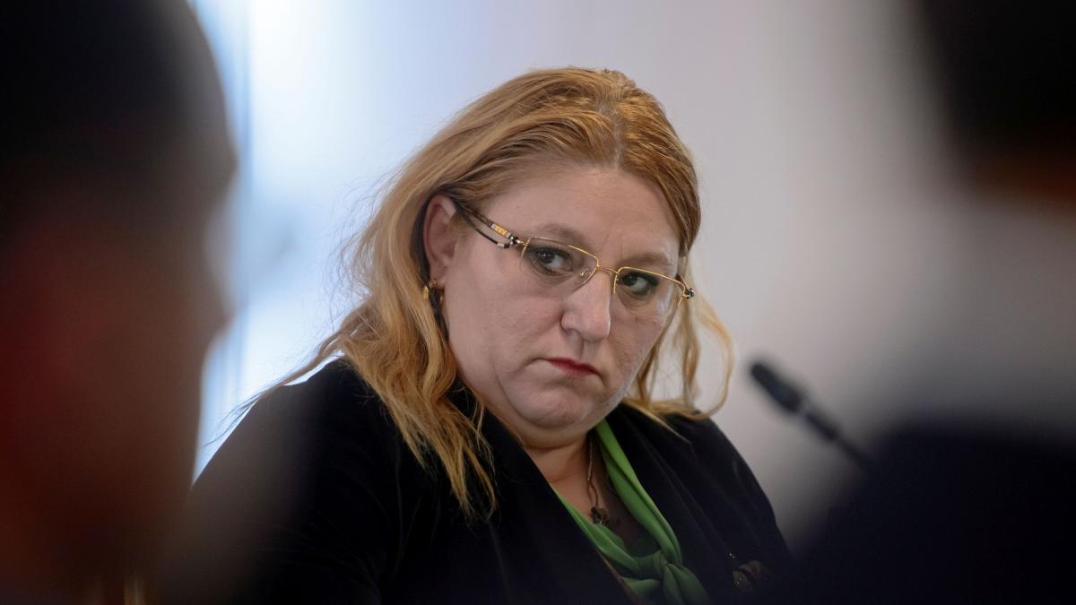 suveranistii diana sosoaca parlamentul european afd