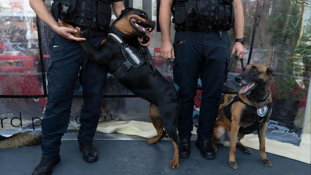 sclavi patron ferma arges arestat