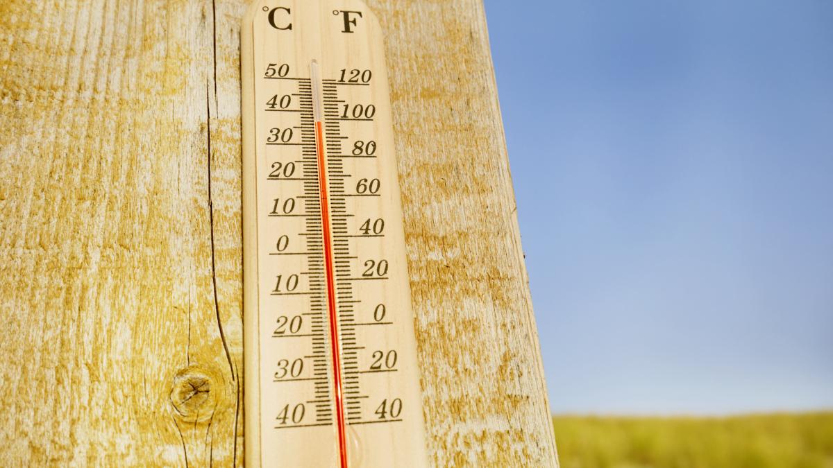 cod galben canicula romania atentionare meteo anm 1 iulie 2023