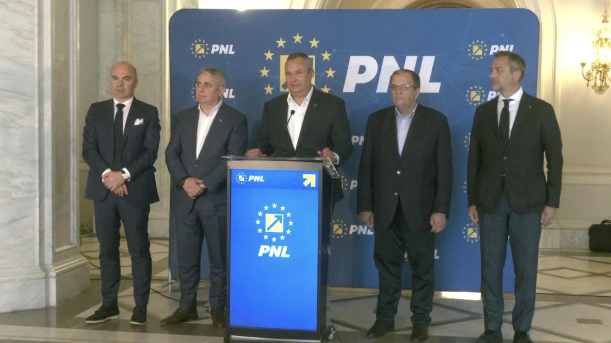 liderii pnl au votat in unanimitate pentru alegeri prezidentiale la termen campania sa nu se