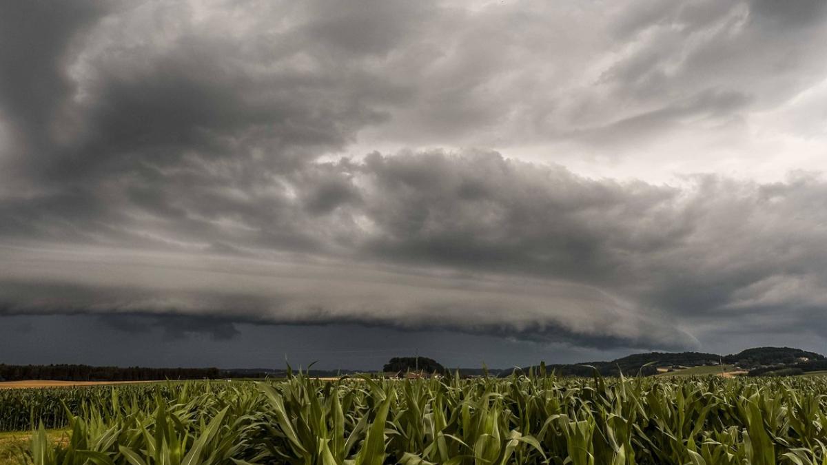 cod portocaliu ploi torentiale vijelie puternica grindina vestul tarii 2 iulie 2024