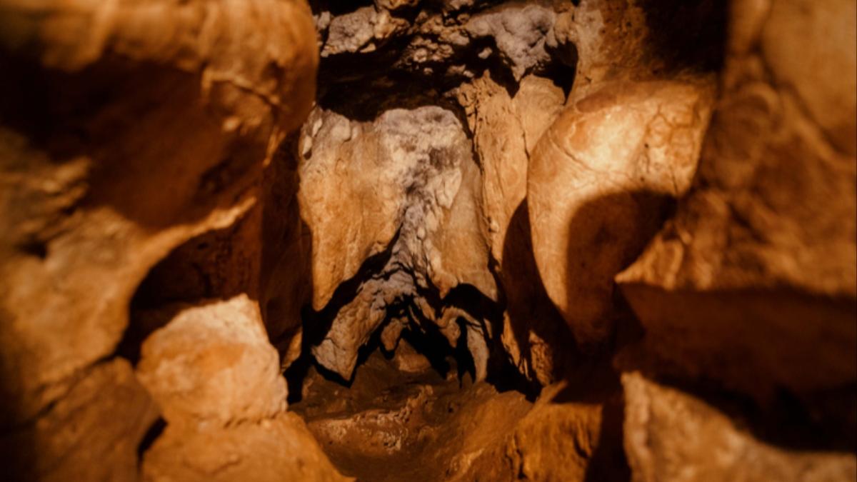 oameni de stiinta tavan pestera pictura rupestra