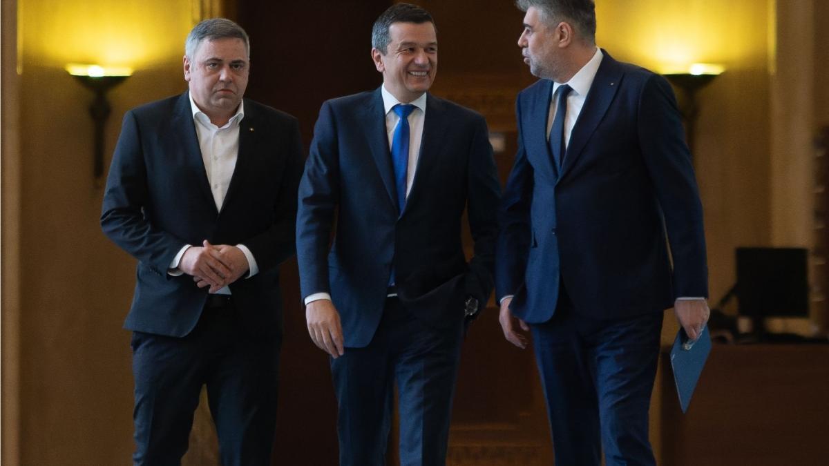 sorin grindeanu psd nu va accepta un candidat independent marcel ciolacu trebuie sa fie candidatul