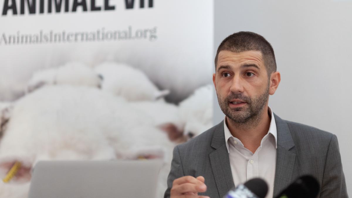 newsweek gabriel paun avere salariu masini