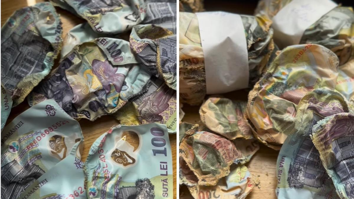 caldura extrema l a lasat pe un barbat fara zeci de mii de lei dar bnr i a restituit toti banii