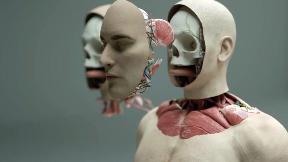 tara spitale infractori fata schimbat fugar strain ilegal