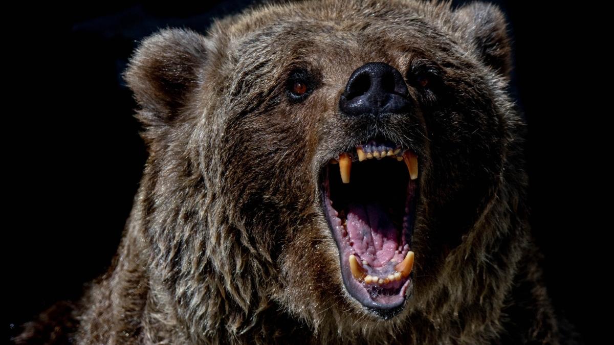 elena lasconi prima intalnire urs campulung muscel decizii guvern actiune primari ordonanta 81