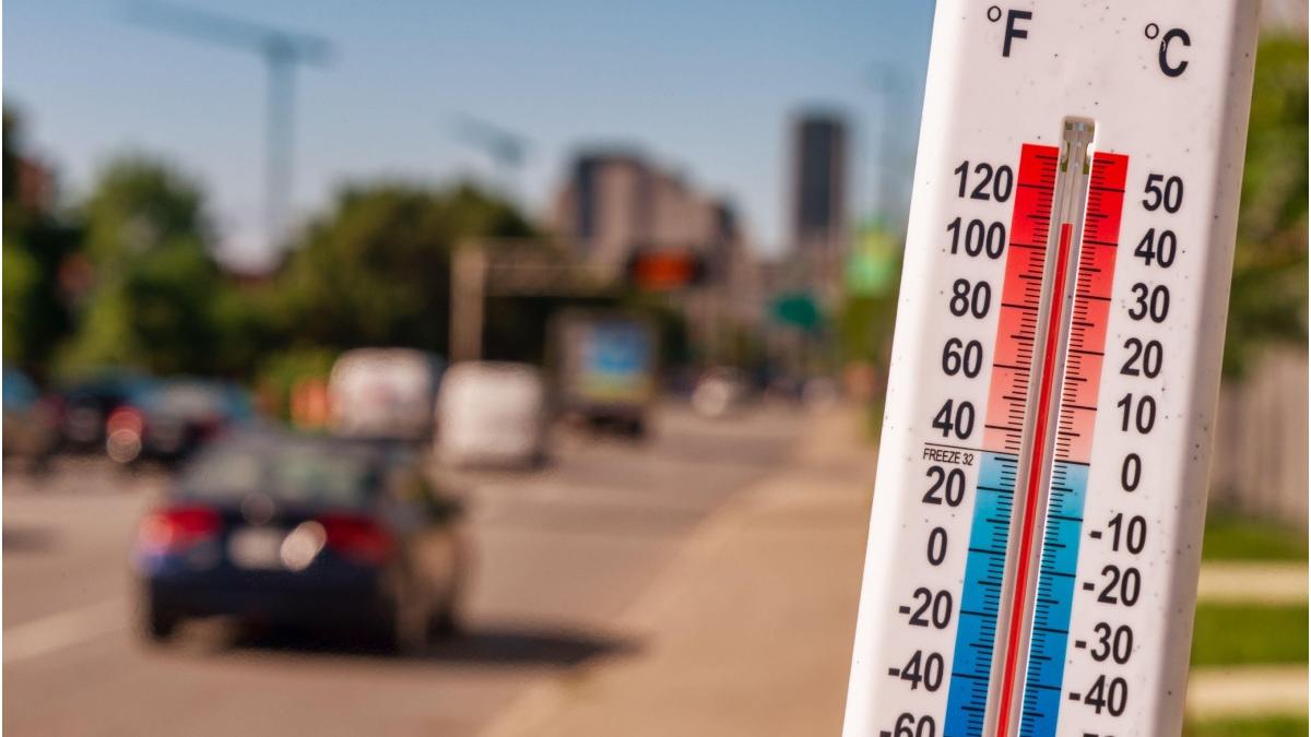 cnair restricti circulatie canicula