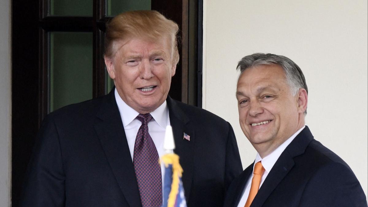 donald trump discutii pace ucraina rusia orban
