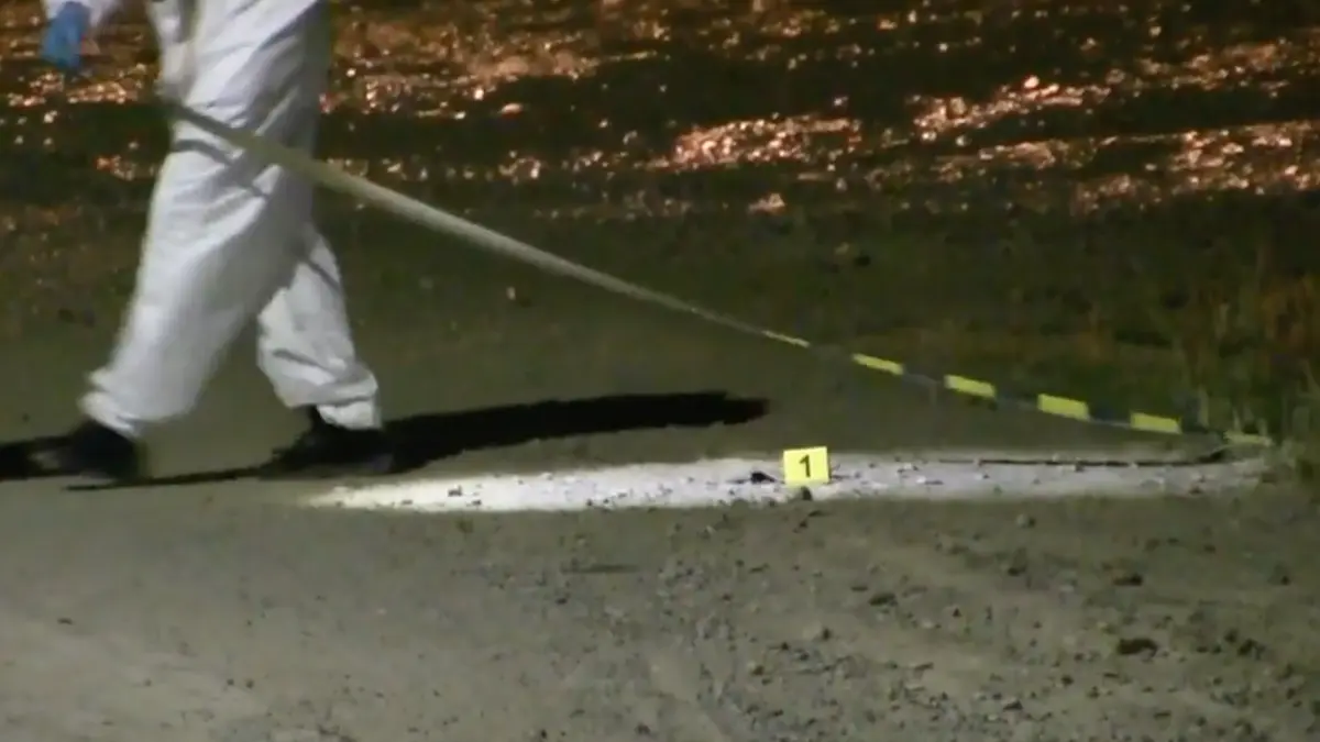 trupul unui barbat a fost gasit intr un geamantan la marginea drumului politia din vaslui