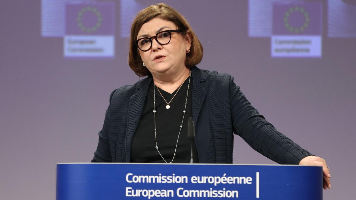 adina valean europarlamentar comisia europeana bani europeni indrastructura