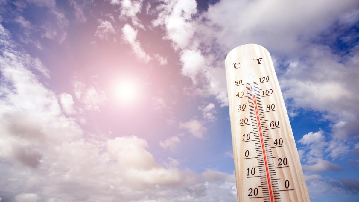 bilantul celor 6 zile de cod rosu de canicula in romania s au inregistrat sute de recorduri de