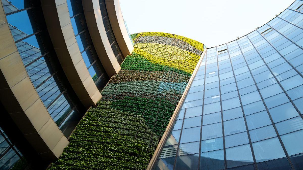 locuintele verzi tot mai preferate de catre romani