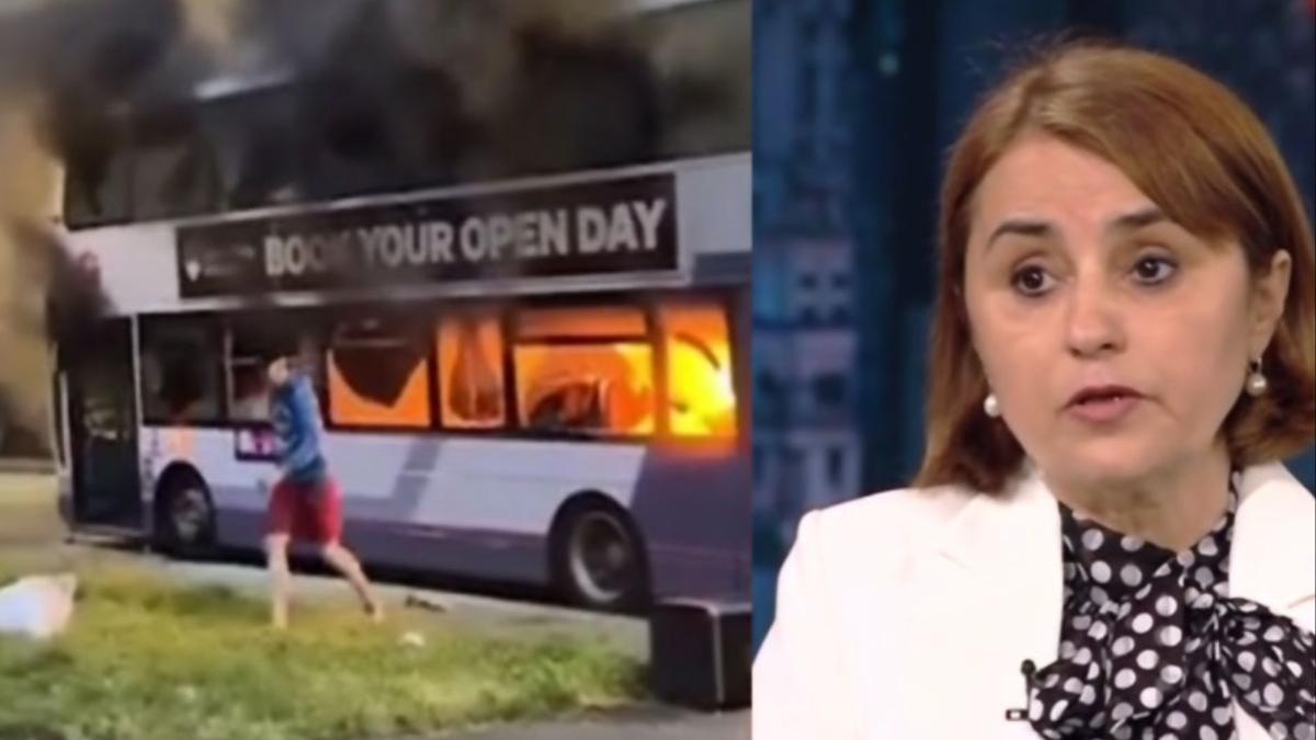 luminita odobescu scandal leeds acte violente