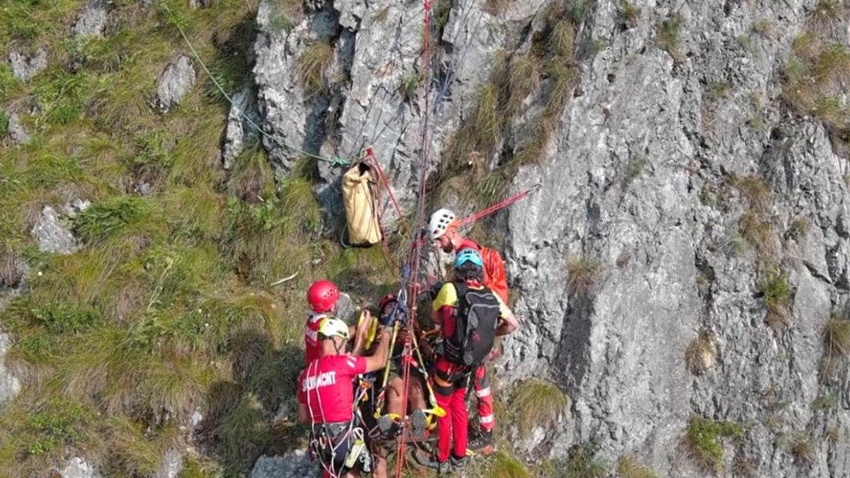 parteneriatul care salveaza vieti