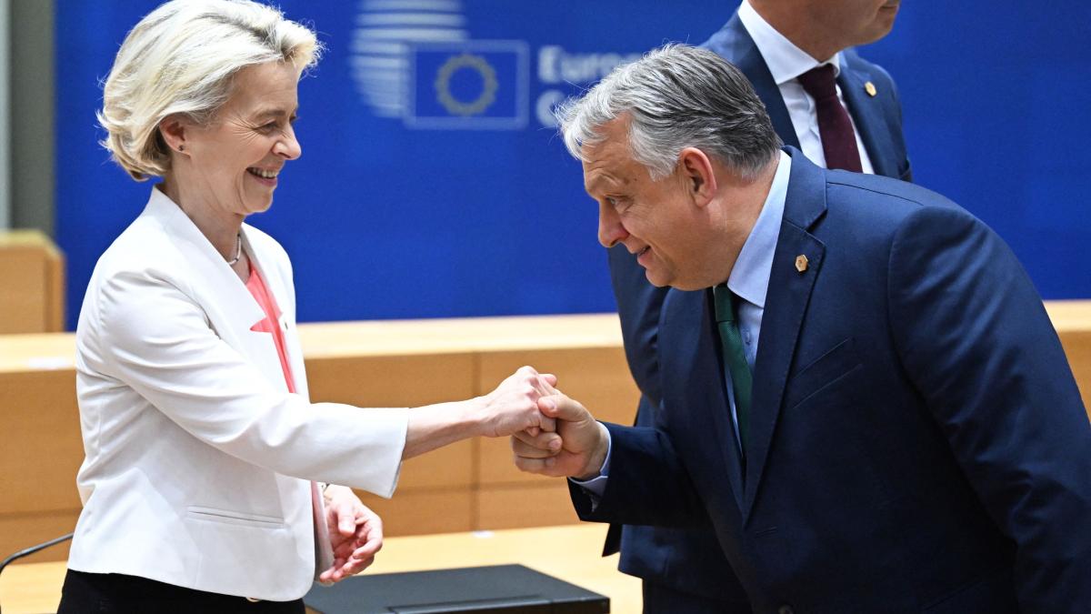 viktor orban spune despre ursula von der leyen ca este slabuta ca roua si ca sefa ce ar trebui sa