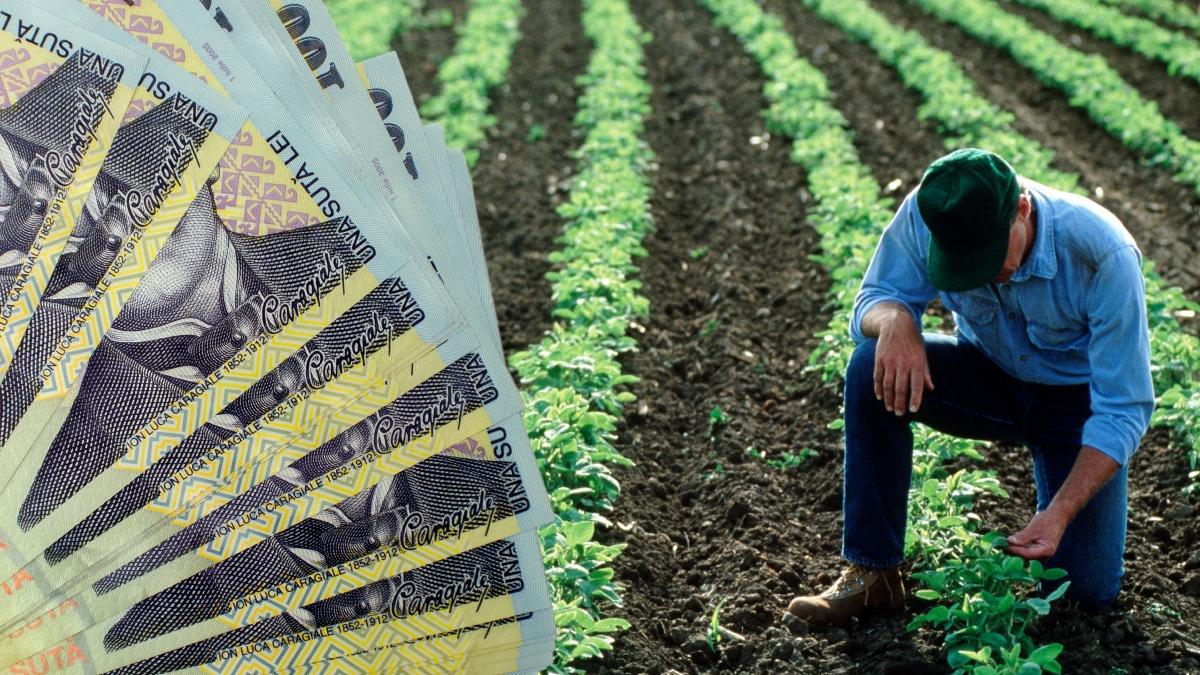 ministrul mediului mircea fechet pnl programe finantare pnrr fermieri sector agricol