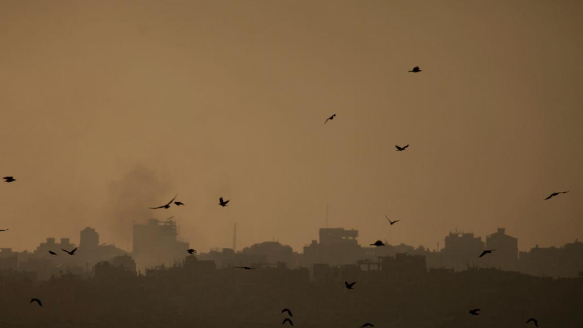 oms avertizeaza ca ar putea aparea noi epidemii in fasia gaza suntem foarte ingrijorati riscul e oms avertizeaza ca ar putea aparea noi epidemii in fasia gaza suntem foarte ingrijorati riscul e
