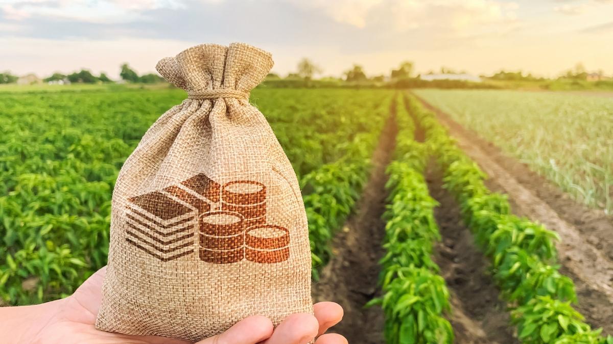 apia plati fermieri campania 2023