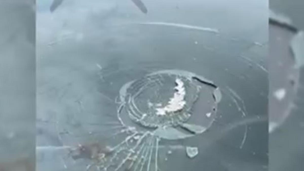 momente de panica pentru doi soti din sua un peste cazut din cer le a spart parbrizul masinii